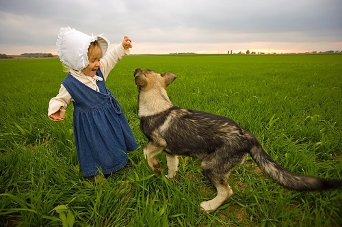 Best Dog Breeds for Families with Children – More than the German Shepherd