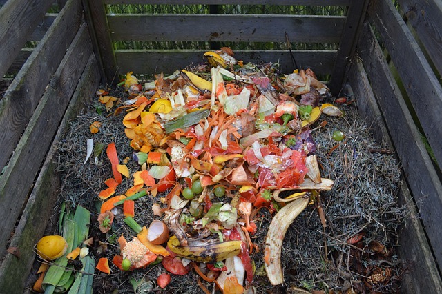 Before You Start Composting, Check Out This Article