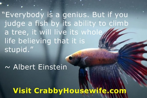 fish-einstein-meme