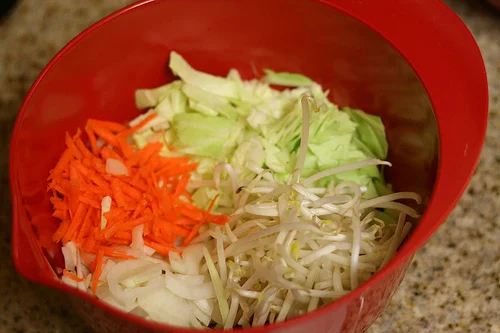 Cabbage Stir Fry with Turkey/Beef Mix