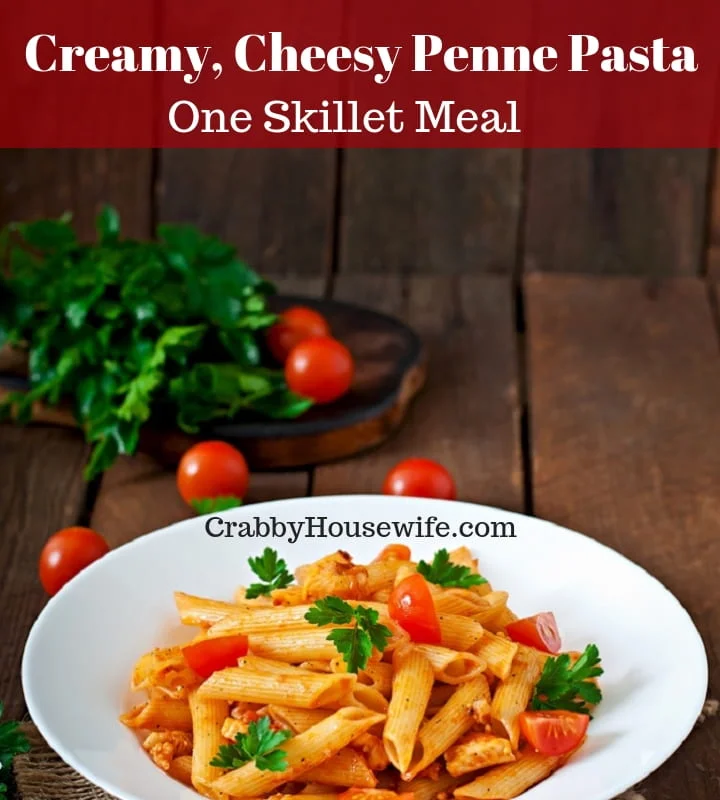 Plate of creamy skillet penne pasta made in a single pan.